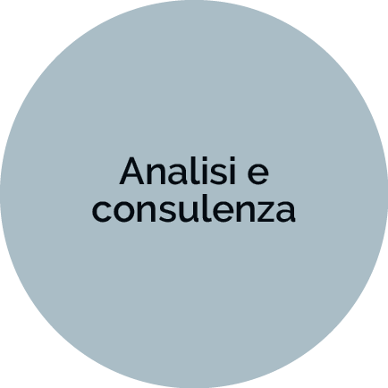 Il metodo Defir - Analisi e consulenza - Defir Torino